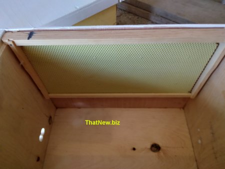 bee-trap2.jpg (22891 bytes)