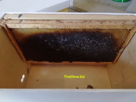 bee-trap3.jpg (25160 bytes)