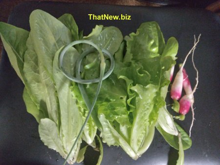 salad3.jpg (33879 bytes)